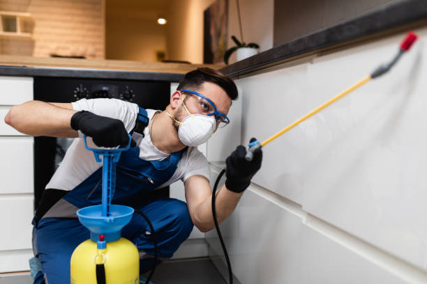 Best Emergency Pest Control  in Cooper City, FL