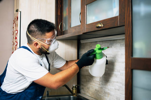 Best Pest Control Near Me  in Cooper City, FL