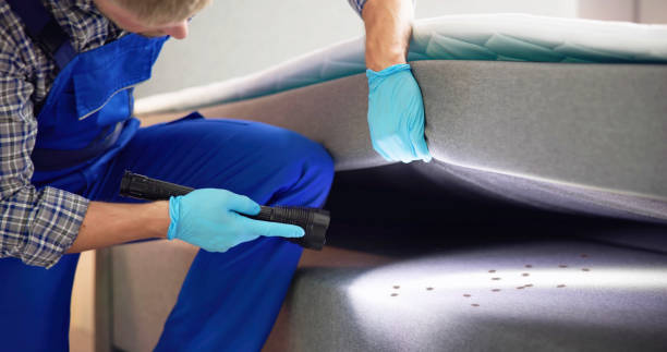 Best Best Pest Control Companies  in Cooper City, FL