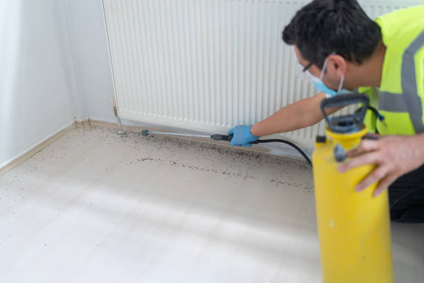 Best Insect Control  in Cooper City, FL