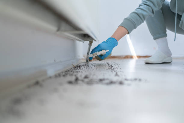 Best Insect Control  in Cooper City, FL