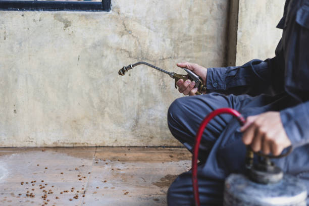 Best Pest Control Near Me  in Cooper City, FL